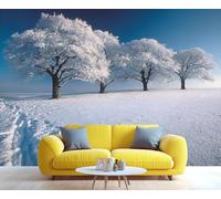 Décoration murale 3D autocollante « Paysage naturel du monde blanc », idéale pour la chambre, la salle de bain et le salon. Papier peint décoratif. 300x210cm (Non autocollant)