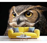 Décoration murale autocollante 3D représentant un grand-duc d'Amérique, idéale pour la chambre, la salle de bain et le salon. Papier peint décoratif. 150x105cm (Non autocollant)