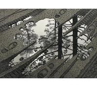 Décoration Murale - Difficult Puzzle - Jeu Défi pour Adultes - 1000 Pièces Puzzle - M C Eschers Art Geometrys - Zp332Aw