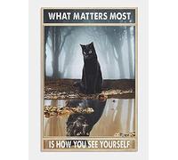 Décoration murale d'intérieur rétro en métal Panther What Matters Most is How You See Yourself bar, club, café, magasin, salon, chambre à coucher, panneau en aluminium personnalisable, 20,3 x 30,5 cm