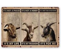 Décoration murale en forme de chèvre - Panneau en métal de chèvre pour l'extérieur de la grange et chèvre - Décoration murale d'extérieur - 20,3 x 30,5 cm