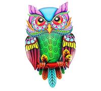 Décoration Murale en Hibou Coloré pour Intérieur en Sculpture Murale Unique Décoration Suspendue Résistante et Attrayante