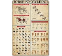 Décoration murale en métal, plaque métallique, infographie, connaissance du cheval, non-planification, affiche en étain, école, ferme, maison, cuisine, décoration de la maison, plaque rétro 30,5 x 20