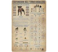 Décoration murale en métal sur le thème des chiens : Anatomie d'un Staffordshire Bull Terrier, impression rétro, affiche 20 x 30 cm (8 x 12 pouces). Idéale pour les écoles, les animaleries, les cafés