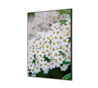 Décoration Murale en tissu SET A2 Perce-neige A Fleurs Blanches