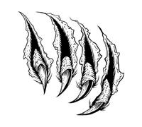 Décoration murale en vinyle tatouage de griffe de monstre de haute qualité, dessin au trait détaillé 67.2x68.5cm Ne se décolle pas Noir