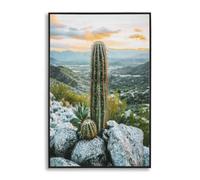 Décoration murale impression sur étoile avec cadre cactus A Mauro Ferretti Laccata Multicolore 60x4x90 cm