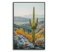 Décoration murale impression sur étoile avec cadre cactus B Mauro Ferretti Laccata Multicolore 60x4x90 cm