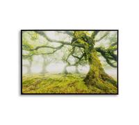 Décoration murale impression sur étoile avec cadre forêt Mauro Ferretti Laccata Multicolore 90x4x60 cm