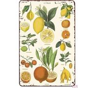 Décoration murale vintage en métal, agrumes, citron, fruit, jardinier, cadeau, agrumes, décoration murale vintage, citron, imprimé citron jaune, panneaux en étain rustique, art mural, affiche en métal