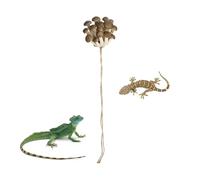 Décoration pour Araignées Sauteuses | Étagère Magnétique en Forme De Champignon | Accessoires Habitat Araignées Sauteuses,pour Geckos Lézards Bernard L Hermite Terrarium Habitat