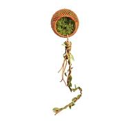 Décoration pour Enclos de Mygale Sauteuse | Décoration De Grotte D'Habitat Magnétique pour Terrarium - Cachette pour mygales et Scorpions | pour Tarentules, Mantes, Scorpions, Escalade, Cachette,