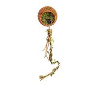 Décoration pour Enclos de Mygale Sauteuse,Grotte Magnétique pour Terrarium - Accessoires pour Grotte D'Araignée Sauteuse | pour mygales mantes Scorpions - grimpe, cachette, Cherche