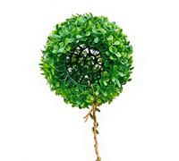 Décoration pour Reptile Grimpe - Artificielles Réalistes et Souples | Accessoires pour Araignées Sauteuses,pour Araignée Sauteuse, Lézard, Tortue, Cage, Terrarium, Paludarium, Mur, Zoo,