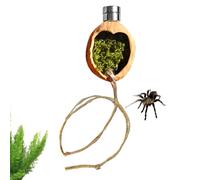 Décoration pour terrarium d'araignées sauteuses, en bois de noyer magnétique, accessoires de terrarium avec corde, pour l'élevage et l'élevage de geckos, lézards et grenouilles d'arbre dans la terre