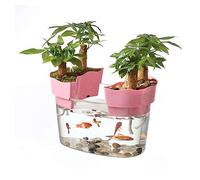 Décoration Réservoir de Poissons en Acrylique Transparent, réservoir de Tortue, Petit réservoir écologique for Aquariums, bonsaï, Ornements de Bureau pour Poissons(Petit)