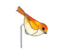 Decoration! Rnj569 Pot de fleurs en pot en acrylique Design unique qui vous aide à créer un espace et à montrer votre ! Rnj569 (B, 12 x 9,78 cm)