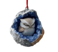 Décoration Sapin de Noël - Pendaison Animaux dans Trou 10cm pour Sapin De Noël Ornements - Pendentifs Plats Figurines Charm pour Décoration Cheminée Fête | Cadeau Fête Réunion Familiale Amis