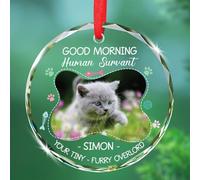 Décoration souvenir en verre pour serviteur humain Votre petit seigneur à fourrure - Image de téléchargement personnalisée - Décoration de Noël pour chat - Souvenir de sapin de Noël 2025 - Cadeau