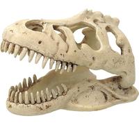 Décoration T-REX crâne 13,3 cm