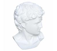 DÉCORATION tête de David blanche en plastique CLASSIQUE