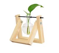 Décorations de Bureau, Vase à Ampoule végétale avec Support en Bois Massif rétro et Support de Tige rotative en métal pour Les Plantes hydroponiques, 6.3"x 5.5"