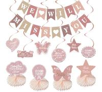 Décorations de fête « Going Away », bannière « We Will Miss You » rose pâle, décorations d'adieu, fournitures de fête, décoration de retraite, tourbillons à suspendre