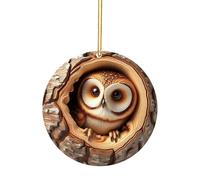Décorations de Noël Animal Ornement Acrylique 2D Interieur Boules de Noel Arbre de Noël Motif Animal Personnalisable Décoration à Suspendre Animale, Hibou écureuil hérisson (A01-A, 7.5cm)