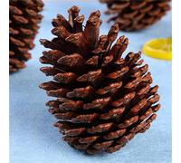 Décorations de Noël d'intérieur exquises pour sapin de Noël - Châtaignes décoratives - Le premier choix pour le bricolage et les accessoires de prise de vue (A, 9 x 5 cm)
