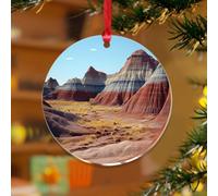 Décorations de Noël en acrylique de 7,6 cm - Parc national de la forêt pétrifiée - Décorations de Noël amusantes - Décorations de sapin de Noël - Affiches d'aventure - Souvenir - Disque transparent