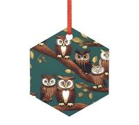 Décorations de Noël en acrylique transparent Hibou magique Adornos de Navidad pour un sapin de Noël minimaliste