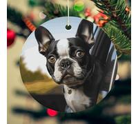 Décorations de Noël en céramique à suspendre avec corde dorée - Pendentif rond à suspendre - Chiot Terrier de Boston - Décorations de sapin de Noël - Cadeau personnalisé pour les fêtes de fin d'année