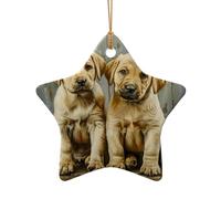 Décorations de Noël en céramique à suspendre pour la maison, le bureau, les chiots