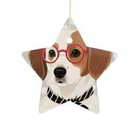 Décorations de Noël en forme d'étoile de Noël de 6,9 cm avec corde de suspension, portrait hipster, décoration de sapin de Noël vintage en céramique pour la maison, décorations de fête de vacances