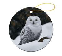 Décorations de Noël personnalisées en céramique - Hibou des neiges rond en porcelaine à suspendre avec impression double face, décoration d'arbre de Noël pour cadeaux souvenirs de vacances (7,1 cm)