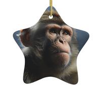 Décorations de Noël Rondes à Suspendre, Artisanat avec Corde dorée, Singe, Ornement en céramique pour Arbre de Noël, fête, décoration d'intérieur