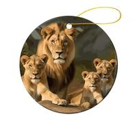 Décorations de Noël Rondes de 7,1 cm, Motif Famille de Lions, décorations de Noël à Suspendre avec Corde de Suspension pour cheminée, fête de Mariage, Maison