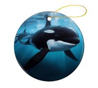 Décorations de Noël rondes en porcelaine avec impression double face - Orque - Pour sapin de Noël - À suspendre - Cadeau souvenir - Décorations de fête