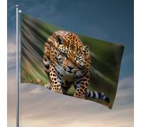 Décorations de porte de chambre à coucher Léopard dans la nature : une promenade majestueuse drapeau bar homme grotte décoration extérieure amusante (152 x 244 cm)
