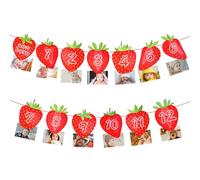 Décorations de Premier Anniversaire de Baies, Bannière d'Anniversaire 1er Anniversaire Fraises 12 Mois Bannière Photo Guirlande Fanions à Suspendre pour Bébé Fille Fournitures Fête