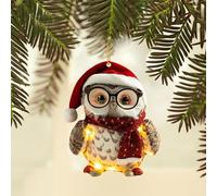 Décorations de sapin de Noël en forme de chouette rustique à suspendre avec raton laveur, écureuil, hérisson et oiseau pour la décoration de la maison et du sapin pour créer une atmosphère festive