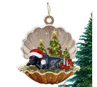 Décorations d'Noël Chien,Chien dans l'ornement Coup d'Noël Bandessinée Coquille - Acrylique Seafood Shell Dog Pendentif Noël Beau Cadeau Noël pour la Onlynery
