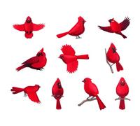 Décorations d'oiseaux 2D pour Sapin de Noël | 10 Pièces Décorations Rouges Arbre De Noël,Ornement en Bois pour Boutique Salon Cuisine Salle De Classe École Maison