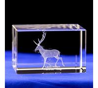 Décorations en Cristal pour la Maison, Gravure 3D, 3 Formes, Antilope, Cadeaux de Mariage, Vert Clair, 50 mm x 50 mm x 80 mm