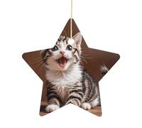 Décorations en forme d'étoile de Noël - Joli chaton heureux Décoration à suspendre en céramique pour sapin de Noël, cheminée, décoration murale, décoration de fête festive, cadeau