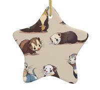Décorations murales en céramique à suspendre en forme d'étoile pour sapin de Noël avec cordes de suspension - Furet poilu