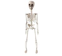 Décorations squelette d'Halloween - Squelette articulé, accessoires de crâne en os humain | Statue squelette pliable de 0,6 m, pour intérieur et extérieur, pelouse, terrasse, porche, décoration de