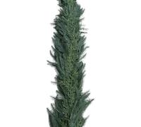 Décorations uniques : le matériau PE égaye vos vacances cet hiver avec chaleur et rire (A, 1,5 m)