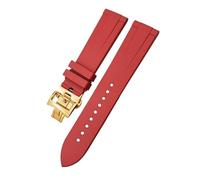 Decorations WatchBand 19 mm 20 mm 21 mm 22 mm pour montre colorée douce fluorine caoutchouc bracelet papillon clip beautiful