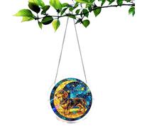 Decorative Acrylic Suncatcher, Rainbow Reflection Sign, Animal Ornament Puzzle 20cm Professional Home Supplies Daily Hobby Kit Modern Studio Accessory Unit Home Decor Interior Garden Birthday Case